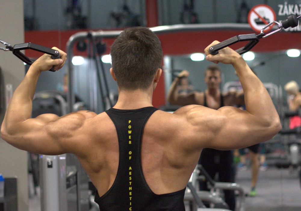 palestra