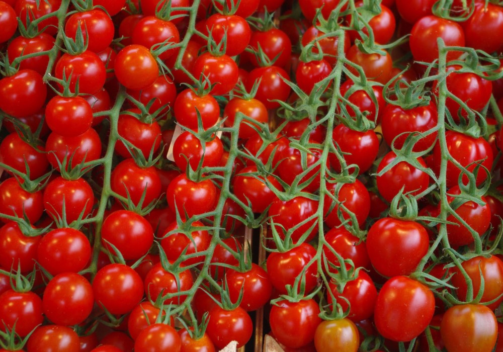 pomodori