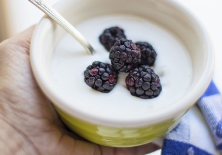 yogurt